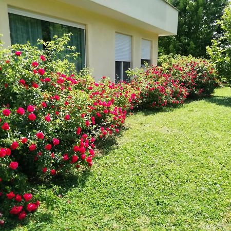 B&B Terra Del Sole Valmontone Zewnętrze zdjęcie
