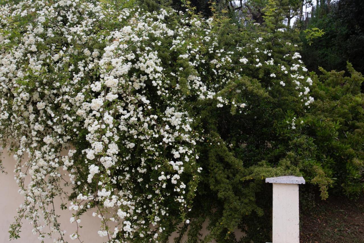 B&B Terra Del Sole Valmontone Zewnętrze zdjęcie