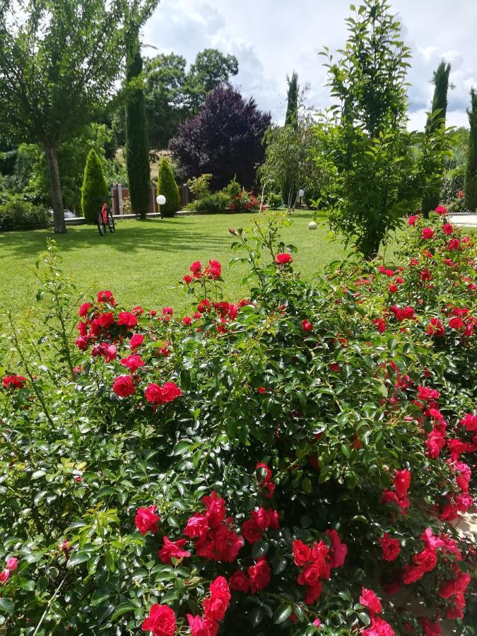 B&B Terra Del Sole Valmontone Zewnętrze zdjęcie